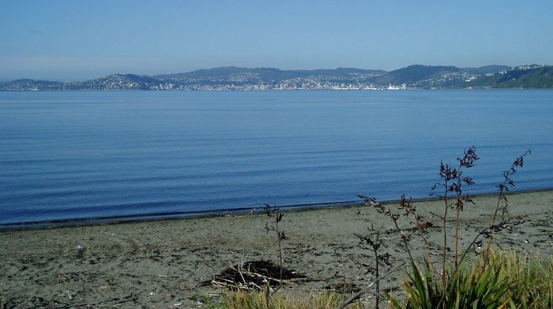 <b>ASURE 83 by the Sea Petone Recreation</b>. Images powered by <a href="https://www.leonardoworldwide.com/" title="Leonardo Worldwide" target="_blank">Leonardo</a>.