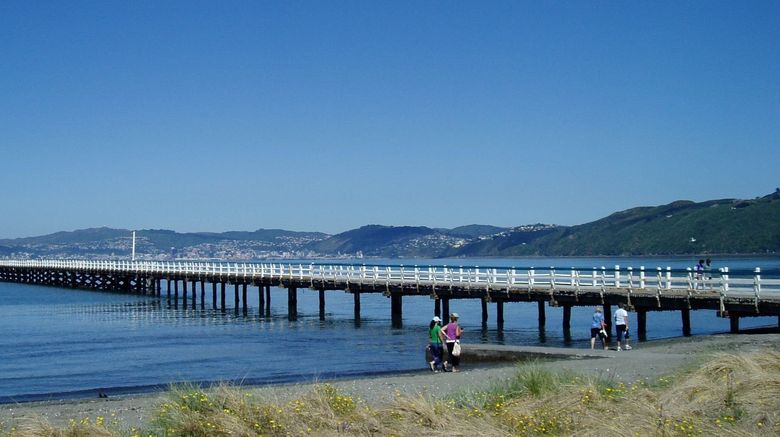 <b>ASURE 83 by the Sea Petone Other</b>. Images powered by <a href="https://www.leonardoworldwide.com/" title="Leonardo Worldwide" target="_blank">Leonardo</a>.