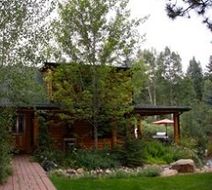 The Cabins at Country Road Exterior