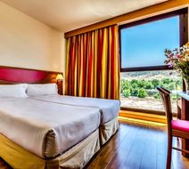 Hotel Alcala Plaza Room