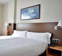 Hotel Palacio De Congresos Room