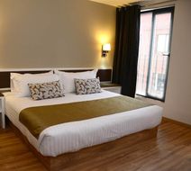 Hotel Plaza Revolucion Room