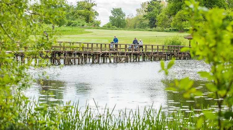 Patshull Park Hotel, Golf & Country Club Other