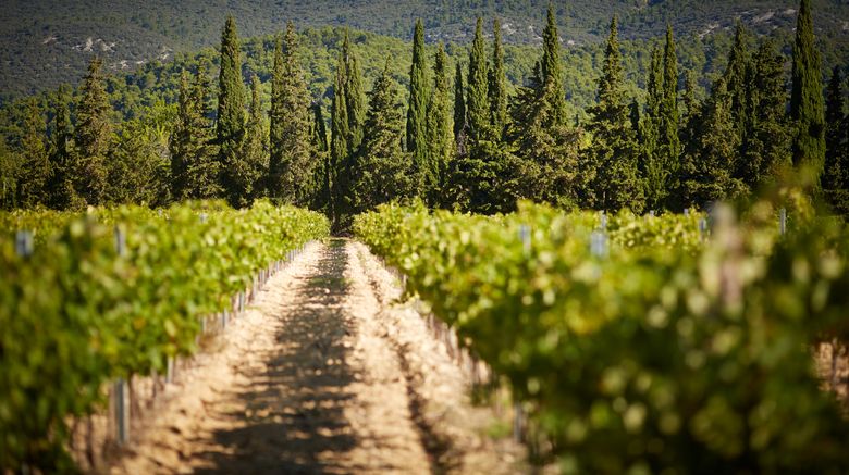 <b>Domaine de Fontenille Exterior</b>. Images powered by <a href="https://www.leonardoworldwide.com/" title="Leonardo Worldwide" target="_blank">Leonardo</a>.