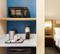 Holiday Inn Express Houston Downtown Room