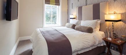 Green House Hotel Room