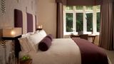 Green House Hotel Room