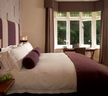 Green House Hotel Room