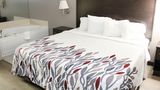 Red Roof Inn & Suites Lake Orion/Auburn Suite