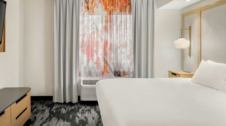 Fairfield Inn & Suites Mt. Pleasant Room