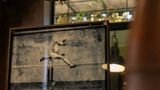 Palais Ronsard Health Club