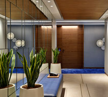 Th8 Palm Dubai Beach Resort-Vignette Col Lobby