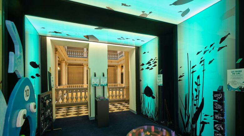<b>The Ritz-Carlton Hotel de la Paix Other</b>. Images powered by <a href="https://www.leonardoworldwide.com/" title="Leonardo Worldwide" target="_blank">Leonardo</a>.
