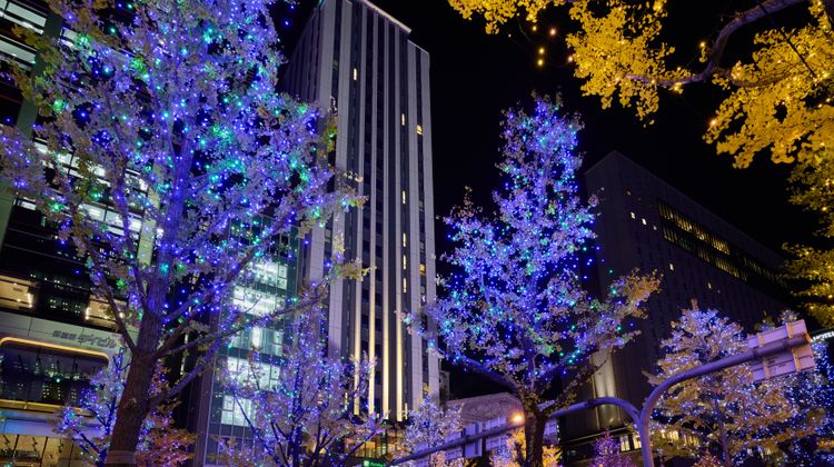 Holiday Inn Express City Centre Midosuji Other