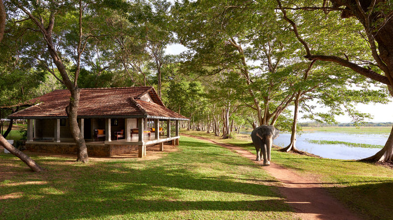 <b>Habarana Village by Cinnamon Other</b>. Images powered by <a href="https://www.leonardoworldwide.com/" title="Leonardo Worldwide" target="_blank">Leonardo</a>.