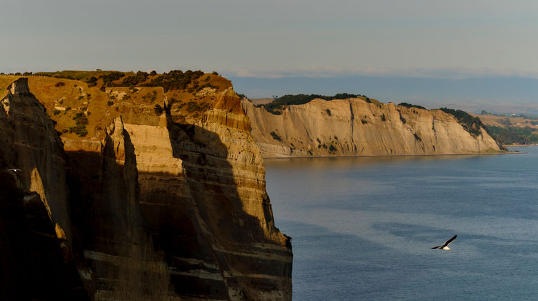 <b>Rosewood Cape Kidnappers Other</b>. Images powered by <a href="https://www.leonardoworldwide.com/" title="Leonardo Worldwide" target="_blank">Leonardo</a>.