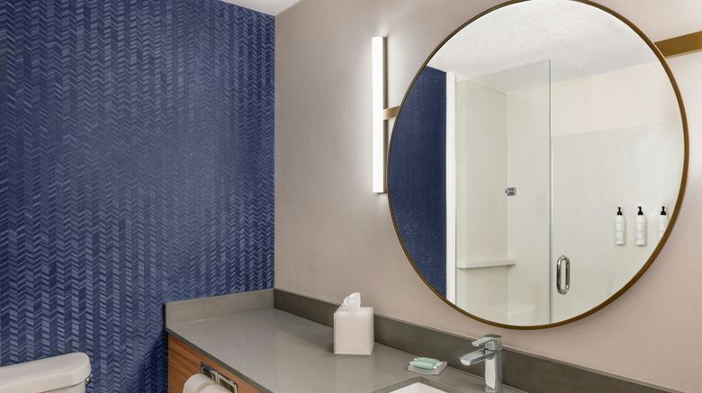 <b>Fairfield Inn & Suites Saginaw Room</b>. Images powered by <a href="https://www.leonardoworldwide.com/" title="Leonardo Worldwide" target="_blank">Leonardo</a>.