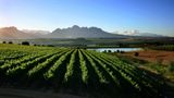 <b>Asara Wine Estate & Hotel Other</b>. Images powered by <a href="https://www.leonardoworldwide.com/" title="Leonardo Worldwide" target="_blank">Leonardo</a>.
