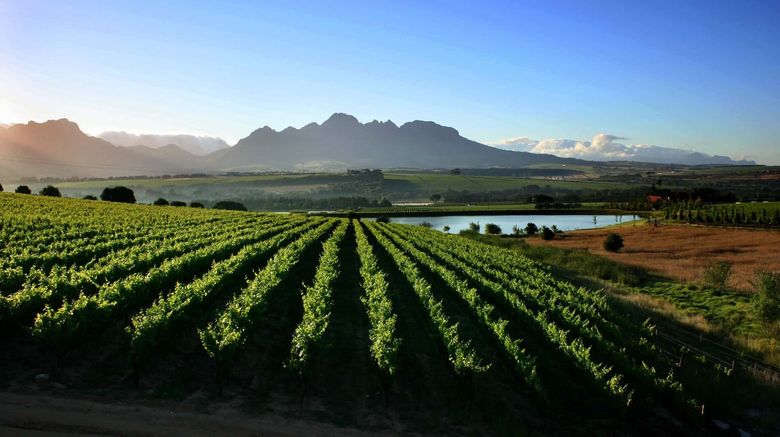 <b>Asara Wine Estate & Hotel Other</b>. Images powered by <a href="https://www.leonardoworldwide.com/" title="Leonardo Worldwide" target="_blank">Leonardo</a>.