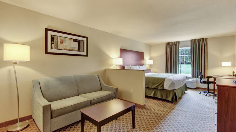 Cobblestone Hotel & Suites Waynesboro Room