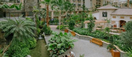 Gaylord Palms Resort & Convention Center Exterior