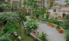 Gaylord Palms Resort & Convention Center