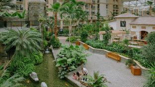 Gaylord Palms Resort & Convention Center