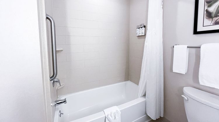 Holiday Inn Express & Suites Morton Room
