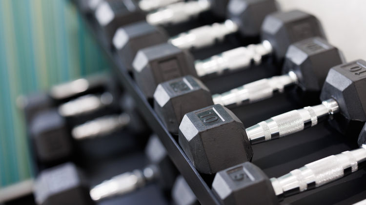 Holiday Inn Express/Stes Silicon Valley Health Club