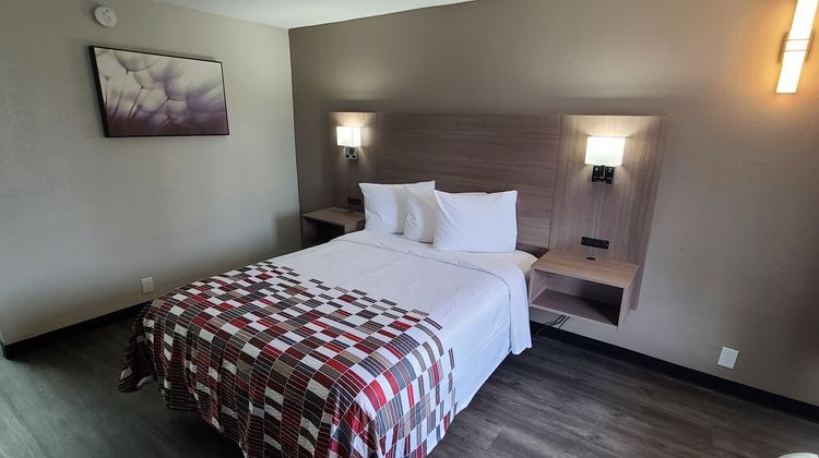 Red Roof Inn Charlotte - Airport Room