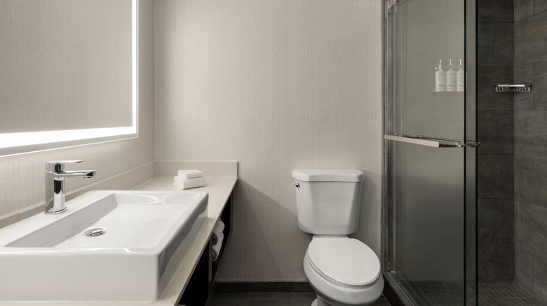 <b>Holiday Inn Virginia Beach-Norfolk Hotel Room</b>. Images powered by <a href="https://www.leonardoworldwide.com/" title="Leonardo Worldwide" target="_blank">Leonardo</a>.