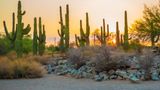 Staybridge Suites Gilbert Other