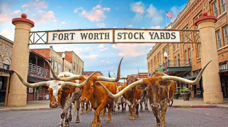 Staybridge Suites Fort Worth Other
