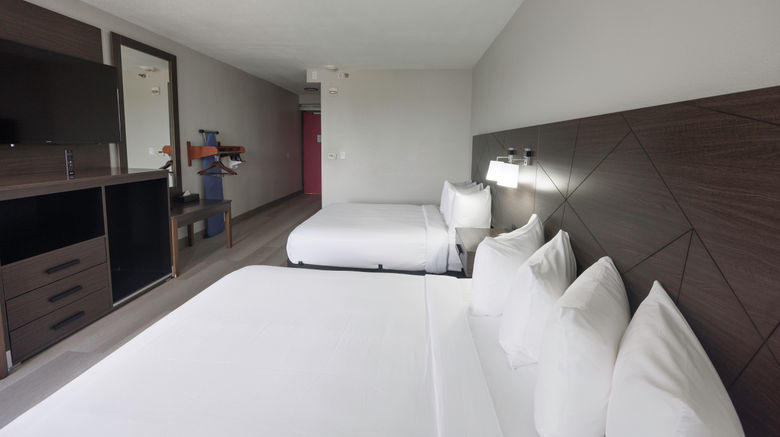 <b>B&B Hotel Miami Airport Room</b>. Images powered by <a href="https://www.leonardoworldwide.com/" title="Leonardo Worldwide" target="_blank">Leonardo</a>.