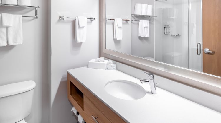 Holiday Inn Express Hotel & Suites Room