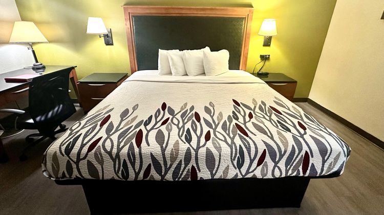 Red Carpet Inn Room