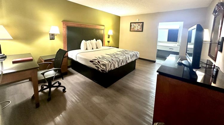 Red Carpet Inn Other