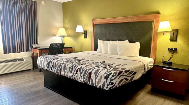 Red Carpet Inn Other