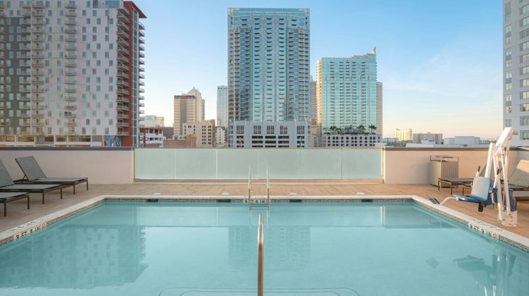 SpringHill Suites Tampa Downtown Pool