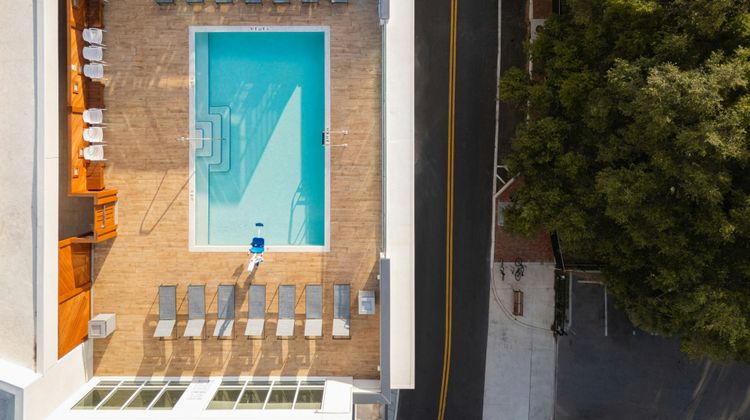 SpringHill Suites Tampa Downtown Pool