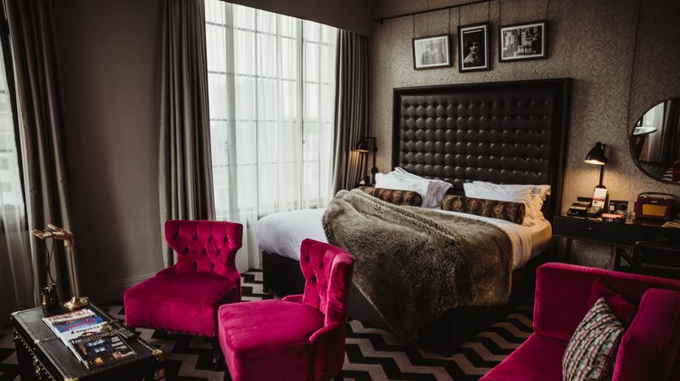 The Rex Room