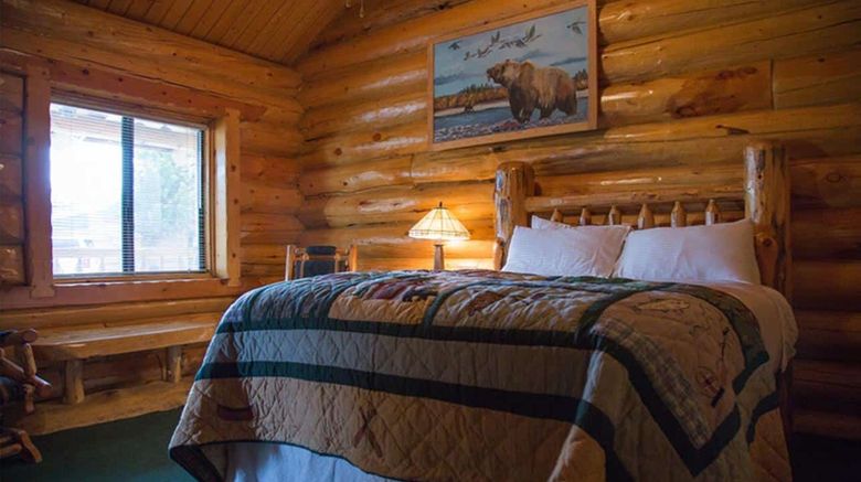 <b>The Hibernation Station Room</b>. Images powered by <a href="https://www.leonardoworldwide.com/" title="Leonardo Worldwide" target="_blank">Leonardo</a>.