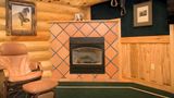 The Hibernation Station Other