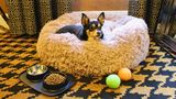 Ameritania Hotel at Times Square Other