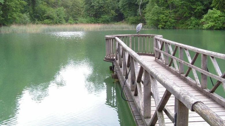<b>Hotel Gasthof zum Ochsen Recreation</b>. Images powered by <a href="https://www.leonardoworldwide.com/" title="Leonardo Worldwide" target="_blank">Leonardo</a>.