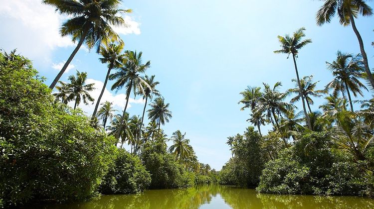 Gateway Hotel Janardhanapuram Varkala Other