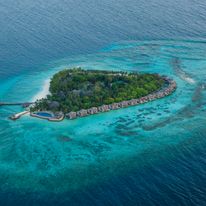 Vivanta by Taj-Coral Reef