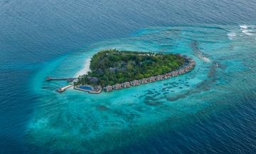 Vivanta by Taj-Coral Reef