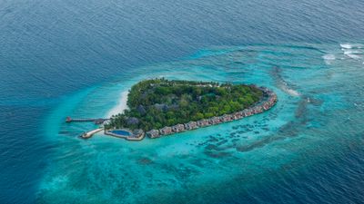 Vivanta by Taj-Coral Reef