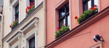 Hotel Petite Fleur Torun Exterior